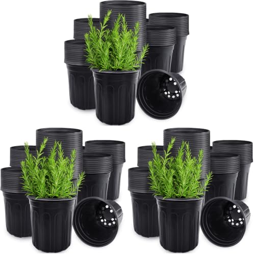 Anyumocz 60 Pcs 1 Gallon Flexible Plant Nursery Pots,Thickened Soft Plastic Seedling Pot with Holes,Flower Plant Container for Succulents,Cuttings,Transplanting,Home Garden(Black) (Pack of 3) - size: 60 Pieces 1 Gallon (Pack of 3)