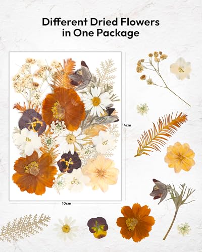 Dried Flowers, Resiners 100Pcs Pressed Flowers for Craft Real Natural Dried Flowers Dry Leaves Kit for DIY Making Crafts Resin Soap Candle Scrapbook Supplies Jewelry Making - color: Warm Color 100pcs