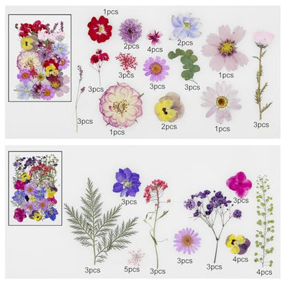 Cayway 170 PCS Real Nature Dried Pressed Flower Leaves, Pressed Flowers for Resin, Real Nature Pressing Floral Leaves for DIY Craft, Candle Scrapbooking Supplies, Purple - color: 170pcs-purple