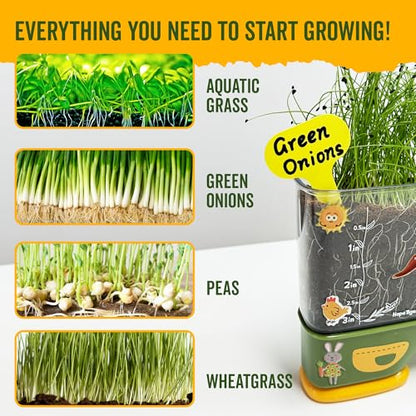 Gardening Root Viewer for Kids - Planting Kits with Seeds & Garden Supplies | Grow Your Own Seed - Home & Classroom Science Stem Learning - Plant Growing Spring Farm Toys & Gifts for Ages 6 Up
