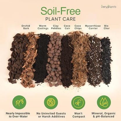 Molly's Aroid Potting Mix, Chunky Soil-Free for Indoor Plants, 5 Dry Quarts - size: 5 Dry Quarts, style: Houseplants & Aroids