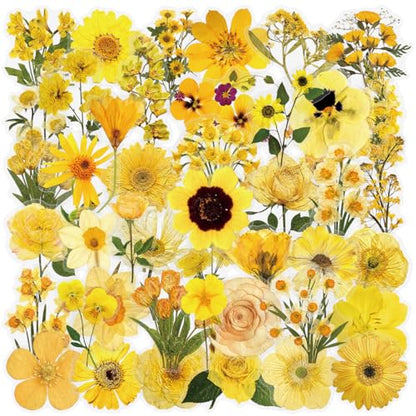 50PCS Pressed Flower Transparent Stickers - style: Pressed Flower