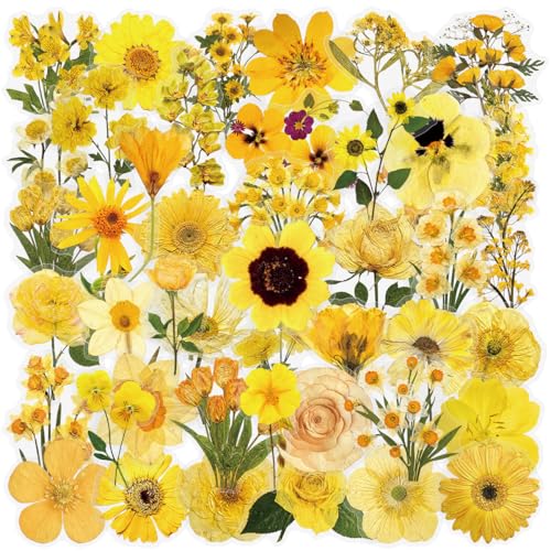 50PCS Pressed Flower Transparent Stickers - style: Pressed Flower