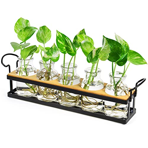 Plant Propagation Station with 5 Glass Jars, Retro Hydroponic Planter Vase | Propagation Jars with Metal Stand, Desktop Hydroponic Plant Holder for Cuttings, Home Office Decor and Plant Lover Gifts - color: Black – 5 Tray