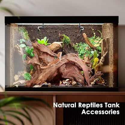 Jorewood Natural Large Aquarium Driftwood for Fish Tanks & Reptile Terrariums – Safe Fish Tank Decorations, Unique Twisted Branches 2-Piece 14-18 Inch Low Tannin, Easy to Sink - size: Large Mopani Driftwood 14 to 18 Inch (Pack of 2)
