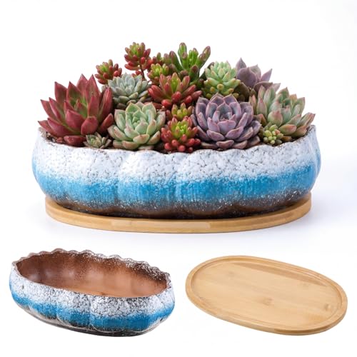 Succulent Pot 12 Inch Large Succulent Planters Ceramic Glazed Bonsai Pot with Bamboo Tray Round Shallow Planter for Indoor Cactus Flower Planter Window Box for Home Garden Decor (Blue and White) - color: Blue and White, style: Round