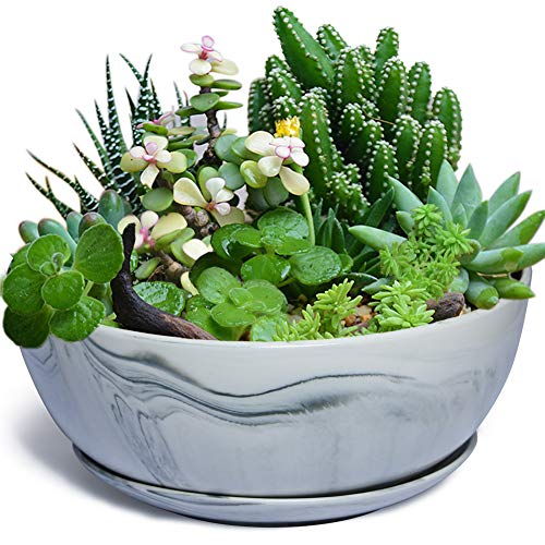 G EPGardening 10Inch Large Planter Marble Pattern Ceramic Succulent Planter Big Plant Pot Succulents Container Flower Pot Indoor Outdoor Decor (Plants Not Included) - color: Marble Grey, size: 10 Inch