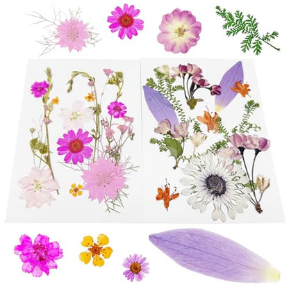 Cayway 4 Pack Pressed Flowers Natural Dried Flowers Colorful Resin Flowers Real Pressed Flowers for Resin Scrapbook DIY Art Crafts, Epoxy Resin Jewelry, Card Making Supplies, Style G - color: 4 Pack Pressed Flowers B