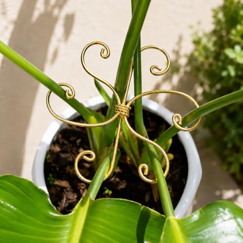 YOHSNOR 5PCS Monstera Plant Support Hooks-Gold 5.5in Stem Supports - color: Gold, size: 5.5IN*5.5IN