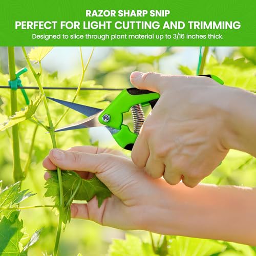 GARDEN GURU Razor Sharp Snip – Professional Garden Pruning Shears Trimmers – Super Sharp Micro-Tip Precision Stainless Steel Blades - Ergonomic Handles Easy on Arthritic Hands - 1 Case (100 Pcs) - size: 100 Pack, style: Snips
