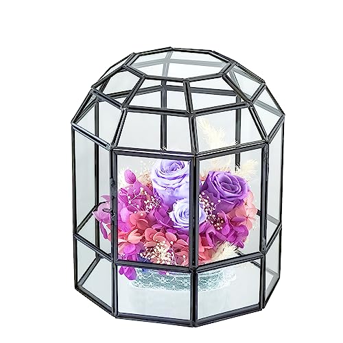 NCYP Geometric Glass Terrarium Dome for Succulent Cacti Air Plants, 6.6x6.6x8 Inches Closed Birdcage Planter Pot, Indoor Miniature Fairy Garden Display Container, Black, Handmade (Only Terrarium)
