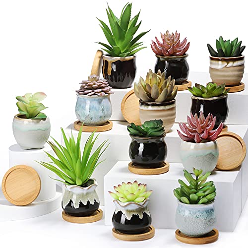 12 Pcs Small Succulent Pots Bulk with Drainage Assorted 2.5 Inch Mini Ceramic Succulent Planters Pot with Coaster Bamboo Plant Tray Planting Pots for Home Office Garden (Rich Color) - size: 2.5 x 2.15 inches
