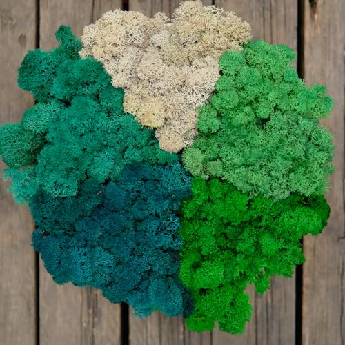 Preserved Reindeer Moss Natural Green DIY Kit Gardenning Art Wall Decor Florist Decor Easter Table Decor Wedding - color: Style-33, size: 1 lb