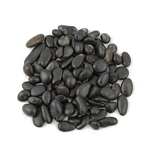 CNZ Polished Gravel Black 5 Pounds 0.5-0.8Inch for Plant Aquariums, Landscaping, Home Decor - size: 0.5"-0.8" 5 LBS