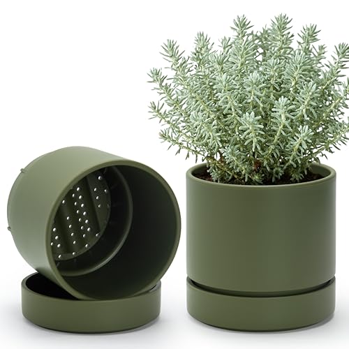 Phoenix Vine 6 Inch Planter Pot with Drainage Hole & Saucer, Deep Water Catch Tray, Straight Cylindrical Round Pot for Plants, Olive, Pack of 2, 23-D-S-2 - color: Olive, size: 6" (2 Pack)