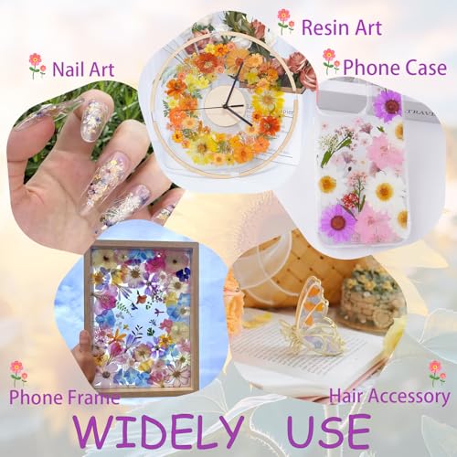 81Pcs Red Dried Pressed Flowers for Crafts,Xinxinran Dry Flowers Kit for Resin Molds,Epoxy Resin Accessories,Bookmark,Nails, Jewelry Molds,Candle Making Supplies,Soap,Frame,Cakes - color: Red 81pcs
