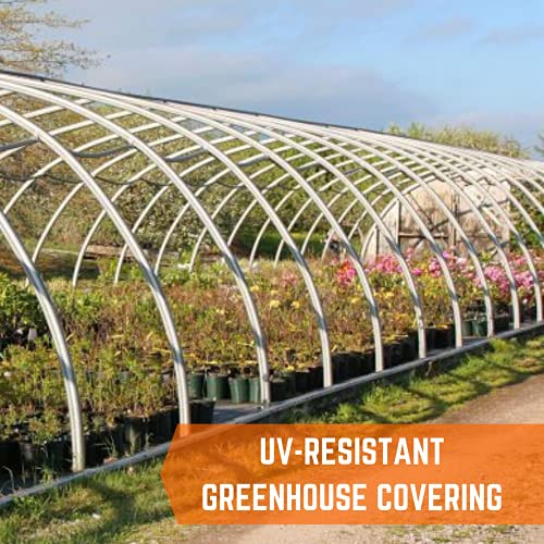 Farm Plastic Supply - Black & White Greenhouse Plastic Sheeting - 6 mil - (10' x 10') - 90% Reflective Green House Covering Film for Farming, Gardening, Agriculture - size: 10' x 10'