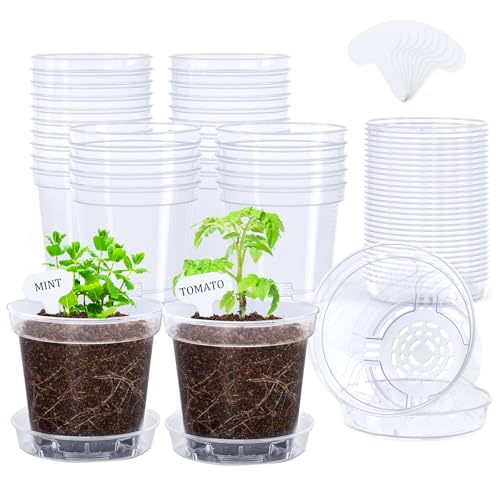 homenote 4 Inch Clear Nursery Pots 30 Pack with Saucers and Drainage Holes | Includes 30 matching saucers and 20 plant labels. Rigid clear plastic helps monitor roots and moisture for healthier growth. - color: Without Humidity Domes, size: 4 INCH