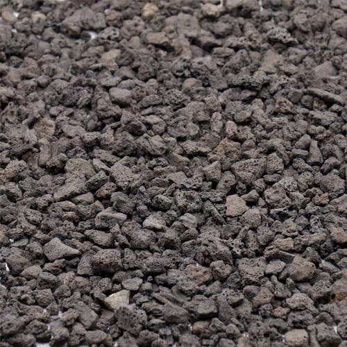 Black Lava Horticultural Lava Rocks for Plants, 1/5 Inch, 10 lbs - color: HORTICULTURAL - BLACK LAVA, size: Mini (0.2 Inch)