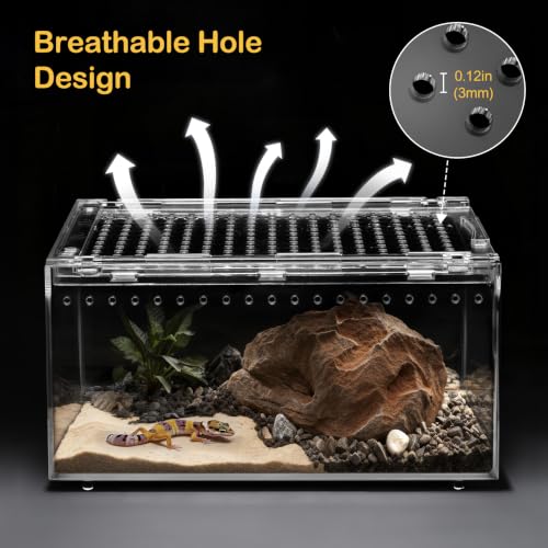 XLarge Reptile Tank Starter Kit,Escape Proof Tarantula Enclosure | Hermit Crab Habitat,Spider Terrarium for Baby Leopard Gecko Vivarium,Bearded Dragon Cage,Insect House,Lizard Cribs Container - size: XLarge(15.7x9.8x7.8inch)