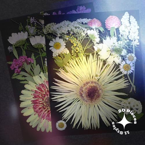 White Dried Pressed Flowers, 40Pcs Real Nature Flowers Set with Tweezers | Pressed Flowers for Resin DIY Jewelry Candle Soap Vase Making Nail Card Scrapbook Art Craft Floral Decor - size: 40 pcs White+Mixed Dried Flowers