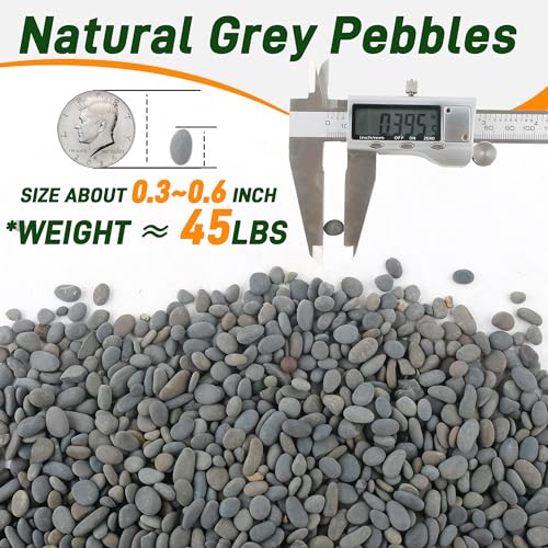 Quibbay 45 LB Natural River Rocks Mexican Beach Pebbles, 0.3-0.6 Inch Natural Unpolished Bulk Rocks, Pebbles for Landscaping Garden Paving Plant, Rocks for Walkways Outdoor Decorative Stone, Grey - size: 45 Pounds, 0.3-0.6 Inch
