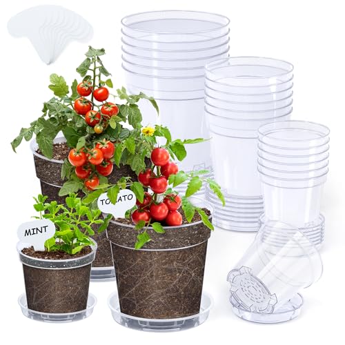 homenote 4/5/6.7 Inch Clear Nursery Pots 18 Pack with Saucers and Drainage | Set includes 6 pots in each size with matching saucers, rigid clear plastic, and drainage holes for indoor or outdoor plants. - color: Without Humidity Domes, size: 4/5/6.7 INCH