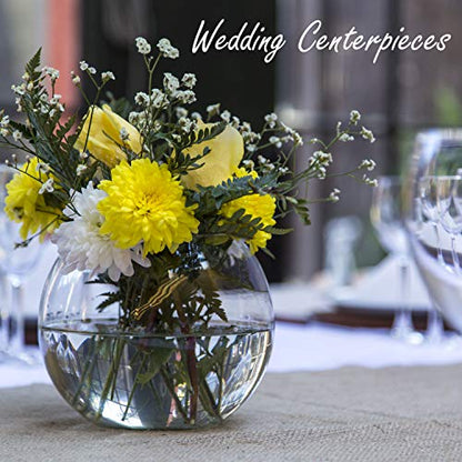 CYS EXCEL Glass Bubble Bowl (H-6" W-8", Approx. 3/4 Gal.) Small Fish Bowl Round Terrarium Vase Globe Flower Centerpiece for Weddings Events Arrangements - size: H-6" W-8"