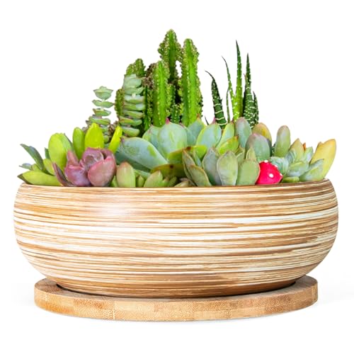 ARTKETTY Succulent Pots - 7.5 Inch Large Plant Pots with Bamboo Tray - color: Spiral Pattern