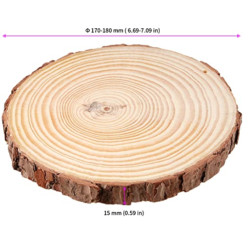 JEUIHAU 10 PCS 6.7-7 Inches Natural Wood Slices with Holes, Unfinished Predrilled Wooden Circles Tree Bark Slice, Blank Wooden Log Circles for DIY Crafts, Arts Wood Slices, Christmas Ornaments - size: 10 PCS 6.7-7 In with Holes