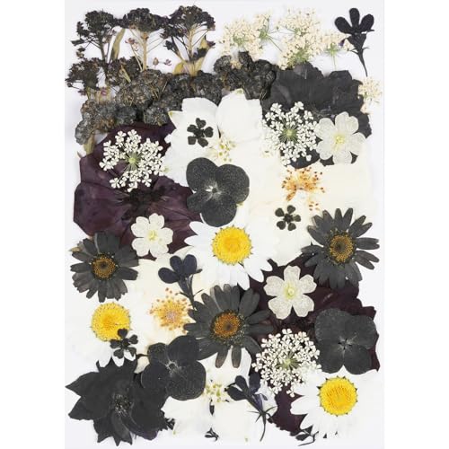 40Pcs Black Dried Pressed Flowers for Crafts,Xinxinran Dry Flower Kit for Resin Molds,Epoxy Resin Accessories,Bookmark,Nails, Jewelry Molds,Candle Making Supplies,Soap,Cake - color: Black 40pcs