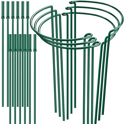 6 Pack 32 or 16 inch Adjustable Plant Support Stakes, Heavy-Duty Half Round Peony Support, Garden Plant Stakes Cage for Outdoor Plants, Peony, Tomato, Hydrangea, (16In Support +16In Extension Tubes) - color: Green - 6 Pack, size: 10" W x 31.8" H