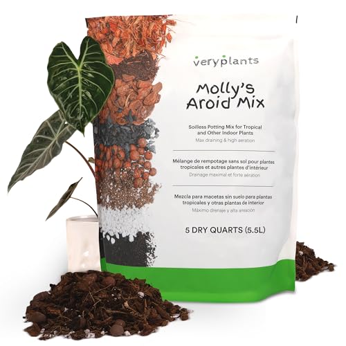 Molly's Aroid Potting Mix, Chunky Soil-Free for Indoor Plants, 5 Dry Quarts - size: 5 Dry Quarts, style: Houseplants & Aroids