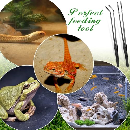 Lasnten 2 Pcs Reptile Feeding Tongs, 15 Inch, Long, Black - color: Black, size: 15 Inch