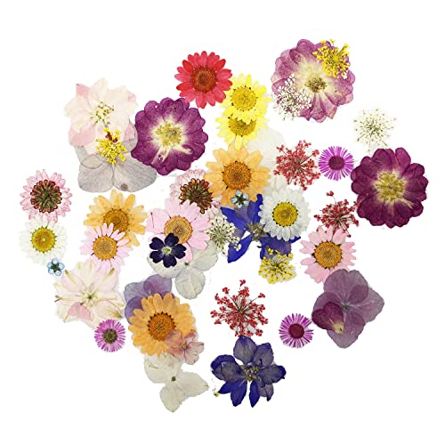 Cayway 42 Pcs Real Pressed Flowers Dry with Tweezers Set, Dried Pressed Flowers Colorful Real Pressed Flowers for Resin Scrapbooking DIY Art Crafts, Epoxy Resin Jewelry, Soap Making - color: 1 Packs Style a
