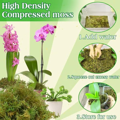 Halatool 2.2LB Green Moss for Indroor Plants, 8QT Orchid Moss for Repotting - size: 35.2 oz