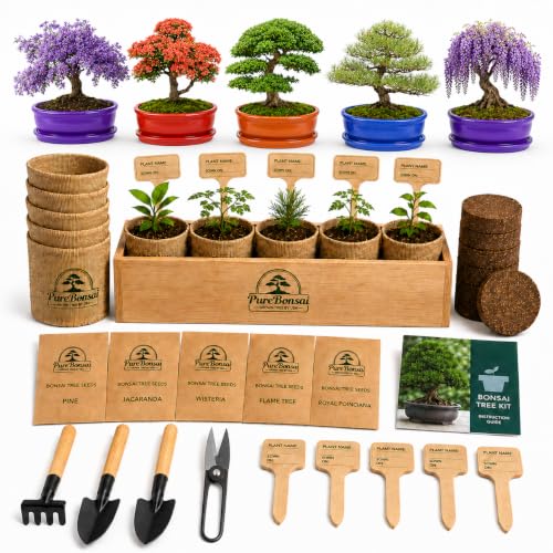 Bonsai Tree Starter Kit for Beginners – Complete Indoor Growing Kit with 5 Unique Japanese Bonsai Tree Seeds Pots & Gardening Tools DIY Gift for Adults