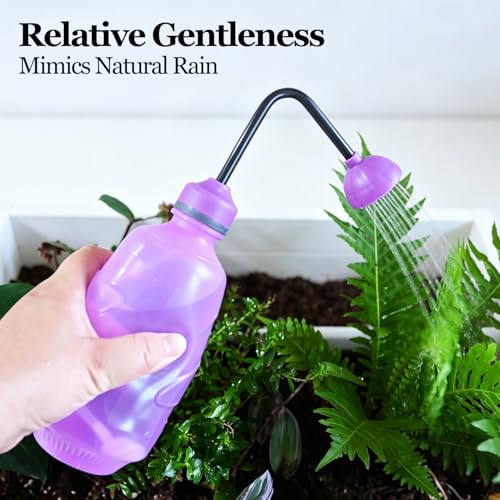 Watering Can for Seedlings, 0.45L (Purple) | Small Watering Can For House Plant Garden Flower - color: Purple