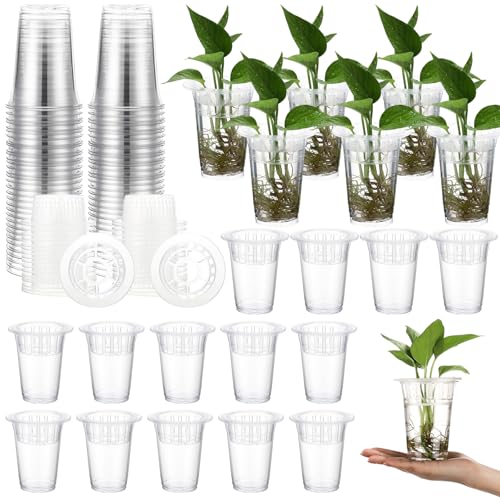 Baderke 36 Pcs Plastic Plant Propagation Vase for Indoor Decor, 4.57'' - size: 4.57''