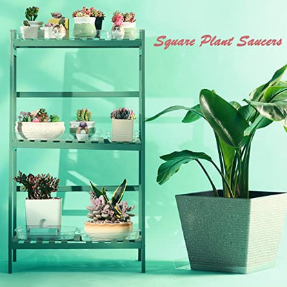 20 Pack Plant Saucers for Indoors 4 Inches Plant Trays for Pots Plastic Trays for Plants Square Plant Drip Trays for Potted Plants Flower Pot Saucers Clear Plant Plates to Catch Water, Bulk