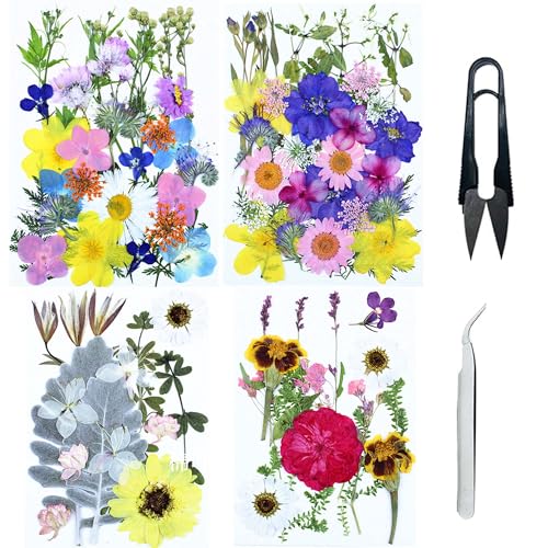 Cayway 4 Pack Natural Dried Pressed Flowers for Resin, Scrapbook DIY Art Crafts, Epoxy Jewelry, Card Making Supplies - Colorful Real Flowers, Style J - color: 4 Pack Pressed Flowers D
