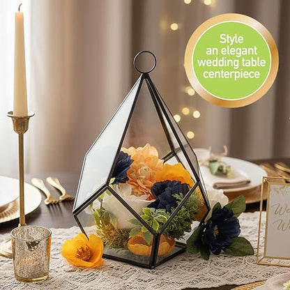 D'Eco Glass Black Mini Teardrop Tabletop or Hanging Planter Terrarium