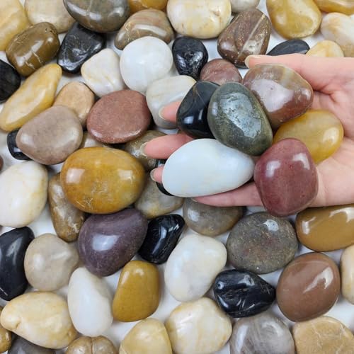 FANTIAN 40 lbs Pebbles for Outdoor Landscaping,1-2 inch River Rocks - size: 1-2 Inch, style: 40 Pounds