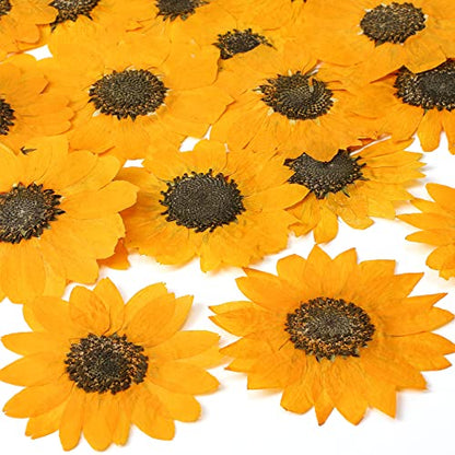 Roowest 12 Pcs Dried Pressed Flowers for Resin Natural Sunflower Real Petals for Jewelry Candle Soap Making DIY Art Craft Scrapbooking Supplies (1.97-3.15 Inches) - size: 1.97-3.15 Inches