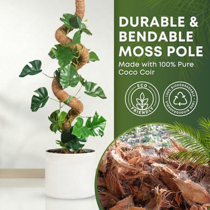 Moss Pole Monstera Plant Support | 60 Inch Plant Stakes for Indoor Plants | Coconut Palm Fiber Moss Poles for Climbing Plants | Handmade Plant Sticks Support Tall Monstera, Pothos & More - size: 1-Pack 60"