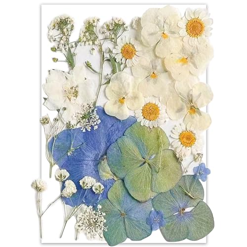 26pcs Dried Pressed Flowers for Resin Molds,YouthBro Real Natural Pressed Flowers for DIY Art Crafts,Candle Making, Nails Décor,Soap Making, Phone Case - color: Dk Greenyellow