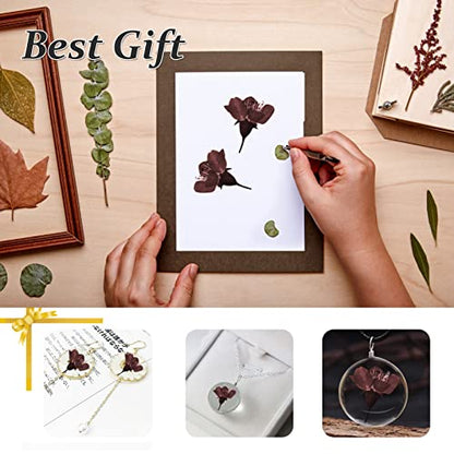 Pressed Dried Cherry Flowers, 60PCS Purple Red Natural Real Dried Pressed Cherry Blossom Flowers, Dry Flowers for Resin DIY Ornament Crafts Candle Making - color: Cherry Flowers-purple Red(side Pressure)