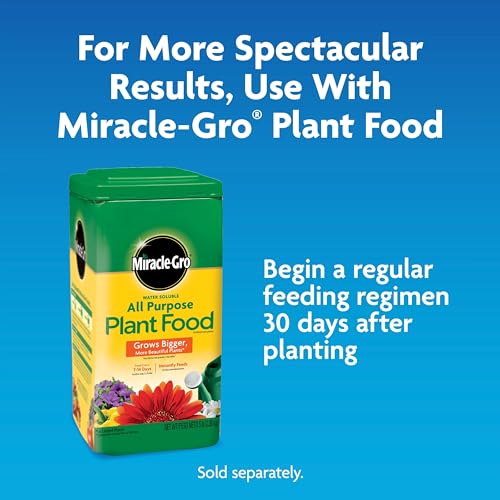 Miracle-Gro Moisture Control Potting Mix - Plant Soil For Container Plants, Protects against Over- and Under-Watering, 8 qt. (3-Pack) - size: 3-Pack, style: 8 qt.
