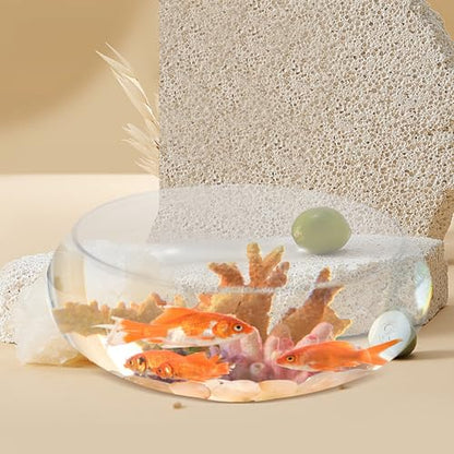 10 Inch Glass Bowl for Plants - Lotus Planter & Clear Terrarium, Large Round Vase for Table Centerpiece, Shallow Bowl for Goldfish & Betta, Decorative Glass Hydroponic Plant Pot 25cm - size: 25x25cm
