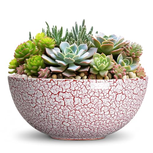 Succulent Pots 12 Inch, Ceramic Bonsai Planter, Texture Red | Round Flower Bowl for Indoor Plants Outdoor, Succulent Planters with Drainage Hole, Bathroom Decor, Plant Lover Gift - color: Texture Red-1, size: 12 Inch